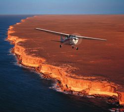 function.array-key-exists - Wale am Head of Bight (1 Tag)